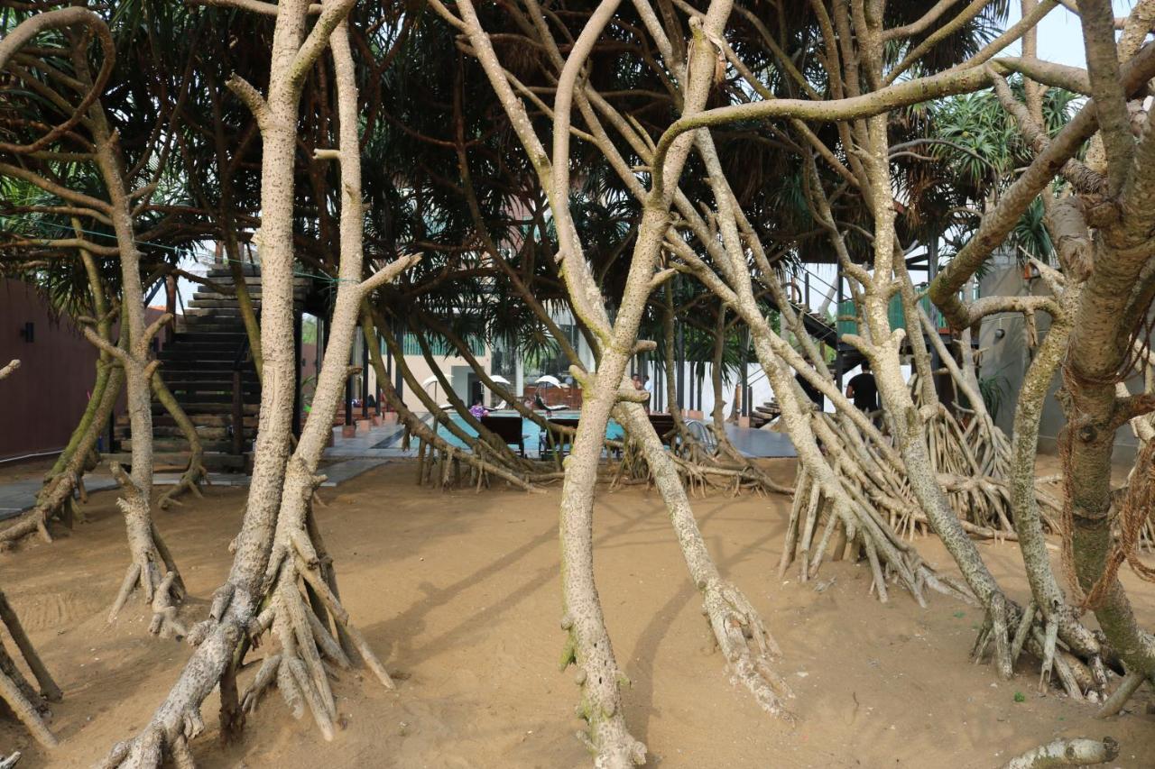 Saprin Beach Resort Uswetakeiyawa Zewnętrze zdjęcie